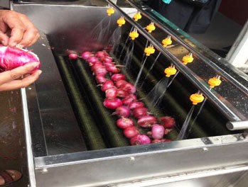 Onion Vegetable and Fruit Washing Machine