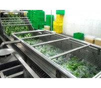 Vegetable Washing Machine Classification  Vegetable Washing Machine Classification