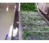 Why Choose Bubble Commercial Vegetable Washing Machine?