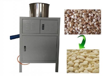 Dry Type Automatic Garlic Peeling Machine Dry Type Automatic Garlic Peeling Machine