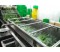 vegetable washing machine