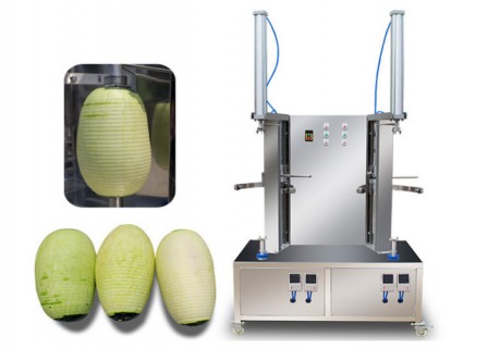 LFP100 Commercial Pumpkin Melon Peeler Machine LFP100 Commercial Pumpkin Melon Peeler Machine