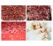 meat dicer machine