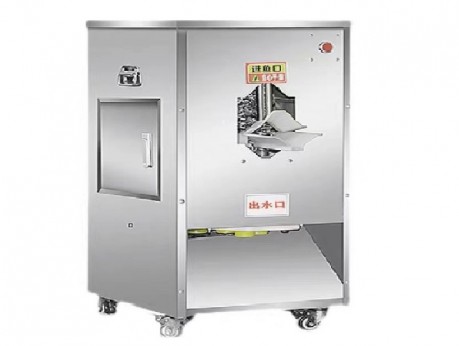 Fish Scale Remover  Fish Scale Remover