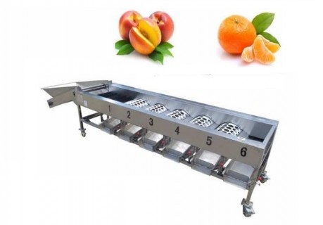 Automtic Fruit Sizer Apple Grading Machine  Automtic Fruit Sizer Apple Grading Machine