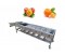 fruit sizer