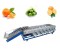 fruit sorter