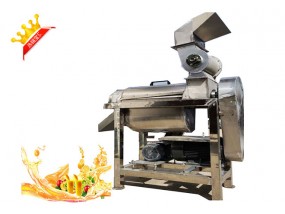 Onion Garlic Apple Crush Juice Making Extractor Machine