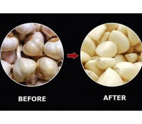 How do you find top garlic peeling machine manufacturers?