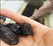 Nigeria work site of vegetable washing machine Nigeria work site of vegetable washing machine