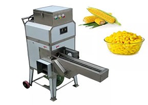Other Food Processing Machinery