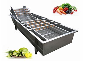 Vegetable & Fruit Processing Machine