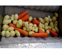 Where to Buy Vegetable Washing Machine?
