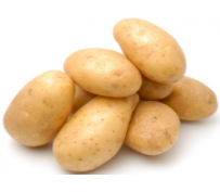 Why You Need Vegetable Washing Machine? Why You Need Vegetable Washing Machine?