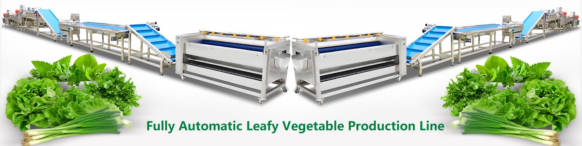 vegetable washing machine