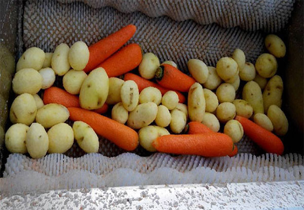 Buy Vegetable Washing Machine