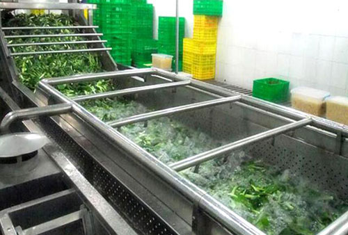 vegetable washing machine