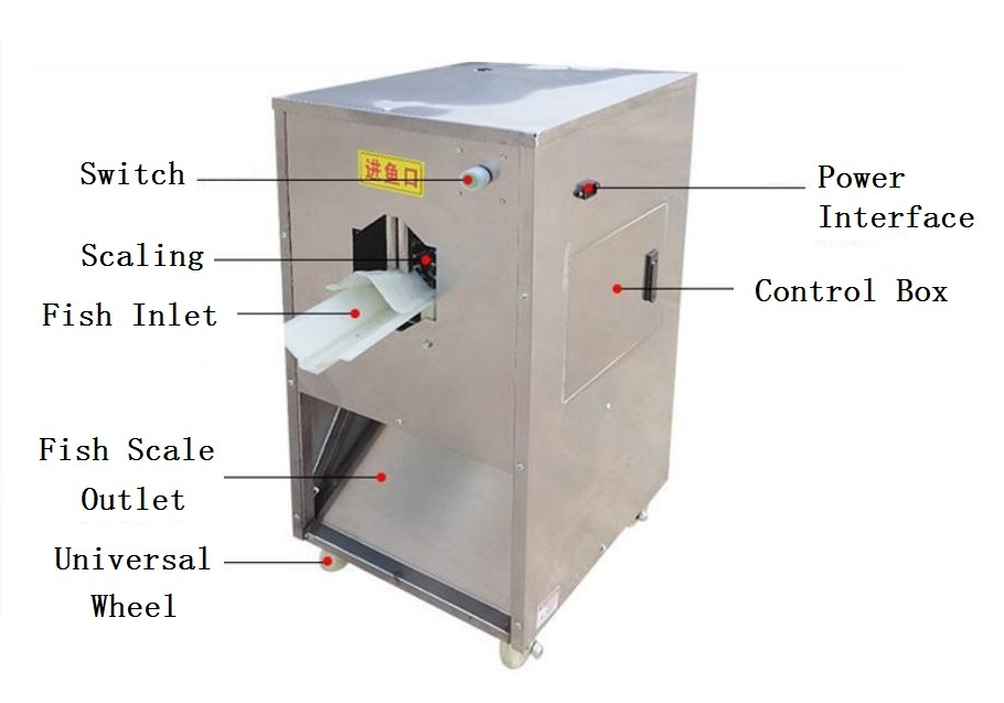 fish scaler machine structure