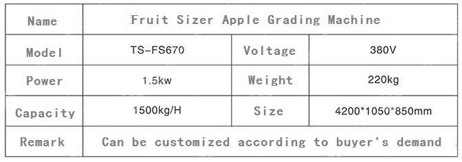 Apple Grading Machine  