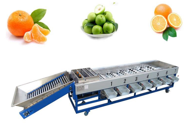 lemon grading machine