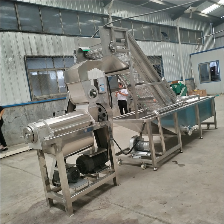 fruit juice extractor machine